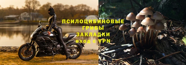 трава Ростов