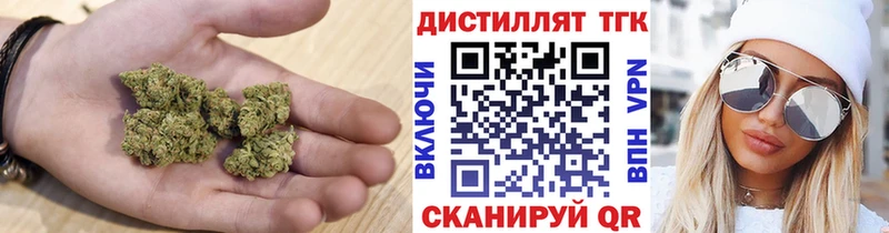 ТГК Wax  Костомукша 
